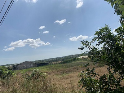 Cho thuê phòng trọ.chính chủ cho thuê 294