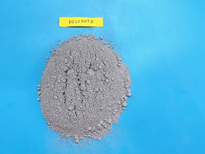 Nhà cung cấp vôi thủy sản 1
