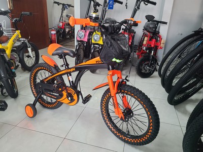 Xe Đạp Trẻ Em 16/18 Inch Toyou TY-05 Túi Vải 2