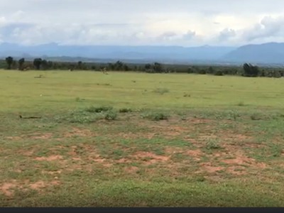 Sổ Hòa Thắng, sát đường DT716,diện tích 11656.6m2,sổ sẵn bao công chứng xe hơi chạy vào tận đất 2