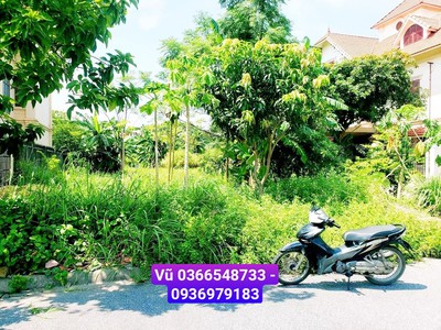 Siêu phẩm 300m2 Anh Dũng 5 , Dương Kinh. Giá chỉ hơn 6 tỷ 0