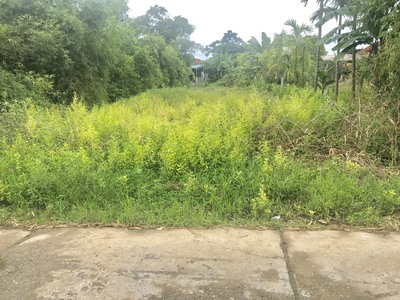 Bán đất 144m2, Thôn Vân Cù, Xã Hương Toàn, TX Hương Trà, Huế. 0