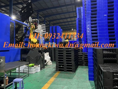 Pallet nhựa   Balet nhựa cũ mới   chất lượng 90 1