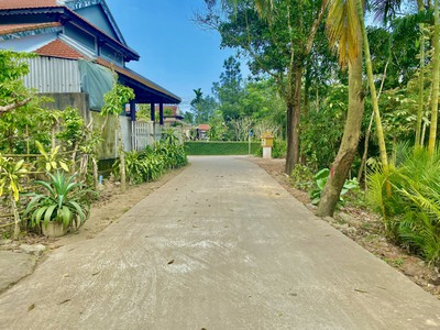 Đất kiệt ô tô minh mạng cách trung tâm tp chỉ 2km 3