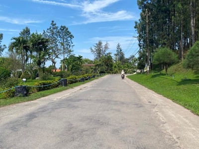Bán Lô Đất Quảng Tế 233m2 Giá Đầu Tư 0