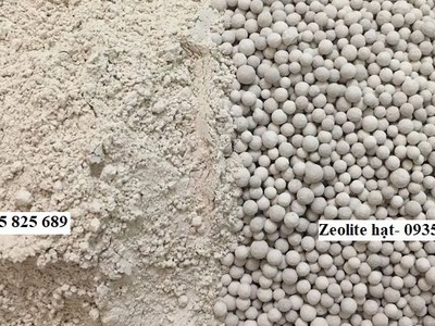 Sử dụng Zeolite  sử dụng trong ao nuôi Tôm 0