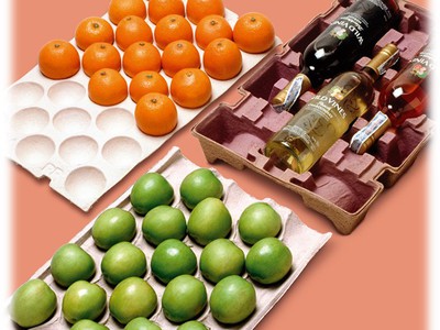 Bột giấy nén, Bột giấy nện, Bột giấy đổ khuôn. 7