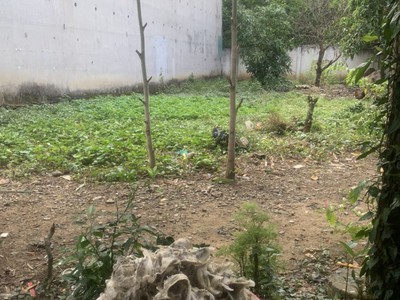 Bán đất nền nhà nuôi Yến tại Gò công, Tiền Giang 1