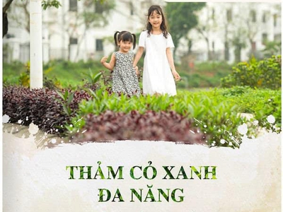 Vci tower - Mang cả resort về không gian sống 2