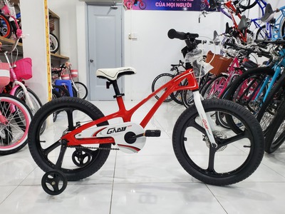  Xe Đạp 18 Inch Royal Baby Galaxy Fleet  0