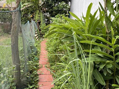 Bán đất thổ cư SĐCC giá 36 triệu/m2 3