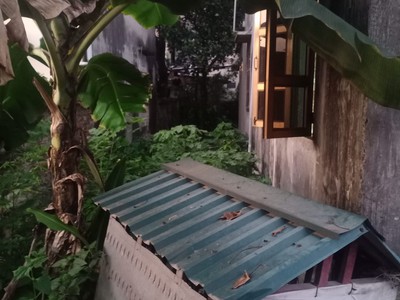 Cần bán đất uy nỗ, 100m2, 4.5m, ô tô, đông anh, 4.2 tỷ. 1