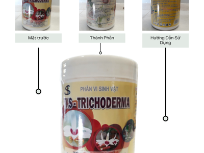 TRICHODERMA   nấm đối kháng hoa lan, hoa cảnh, kiểng 0