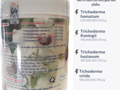 TRICHODERMA   nấm đối kháng hoa lan, hoa cảnh, kiểng 1