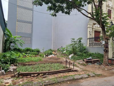 Ban gấp 99m2 đất đấu giá tứ hiệp , thanh trì , view vườn hoa , cc tecco , kinh doanh đắc địa 3