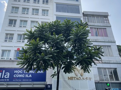Hiếm mặt phố quyền lực phố huế, hàng bài, 250m2, 8 tầng, mt 8m, 225 tỷ, kinh doanh 0
