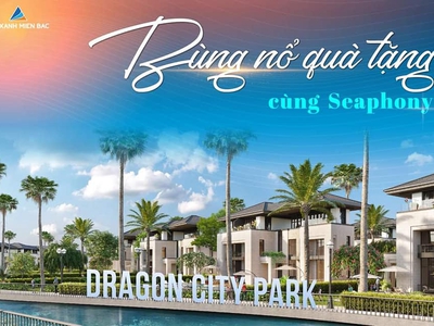Mở bán đất nền dự án Dragon City Park Đà Nẵng, giá gốc, chiết khấu cao 0