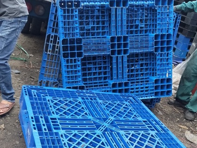 Bán và cho thuê pallet nhựa kê hàng chống ẩm mốc mùa mưa bão giá rẻ chỉ từ 195k 2