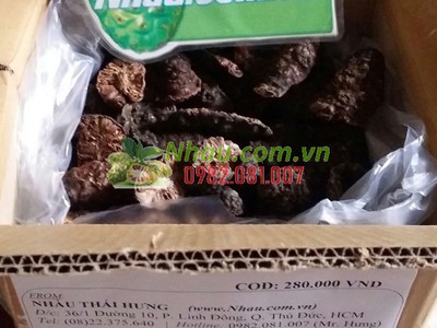 Bán Trái nhàu khô   Quả nhàu khô  Noni fruit , Nước cốt nhàu  Noni fruit , Bột nhàu  Noni powder 2