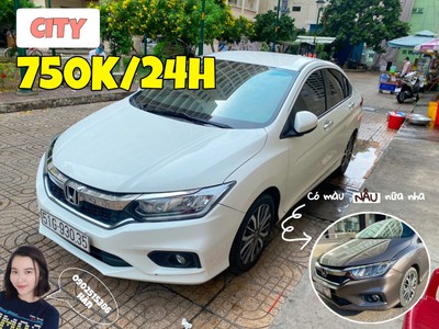 Cho Thuê Xe Tự Lái 4-7Ch 8