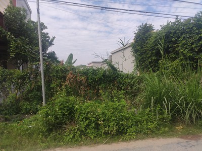 Đất vùng trũng chính là Bàng La, Đồ Sơn. 95m2 ngõ 4m chỉ 1,3x tỷ 0