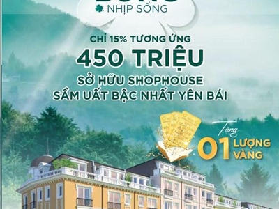 Thế Lực Mới  Nào Đang Làm Trao Đảo Thịj Trường Yên Bái 1