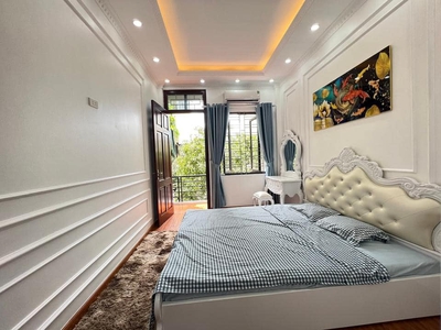 Hiếm nhà đẹp tt văn điển, gara ô tô, sân vườn bbq tại nhà 3