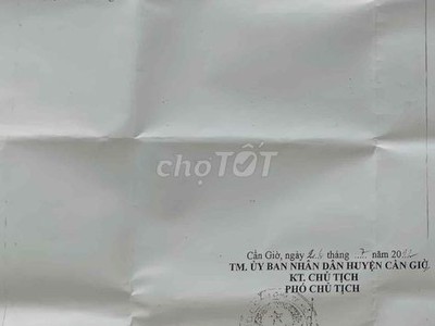 Chính chủ cần bán 495,5m2 đất khu vực cần giờ tphcm 1