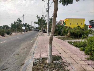 Chính chủ cần bán 495,5m2 đất khu vực cần giờ tphcm 2