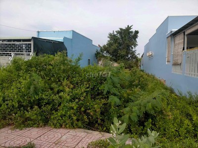 Chính chủ cần bán 495,5m2 đất khu vực cần giờ tphcm 4