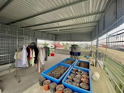 Bán nhà lô góc ngõ Đằng Hải - Hải An - Hải Phòng 5
