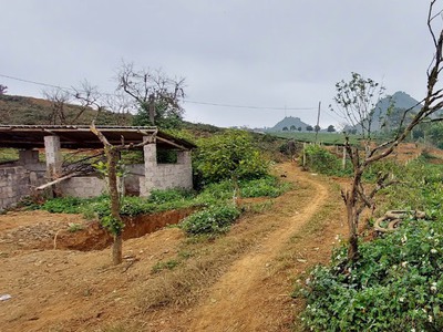 Mảnh đất tại Phiêng Luông Mộc Châu có sẵn 500m2 thổ cư. Thích hợp kinh doanh.Biện độ lợi nhuận cao 3