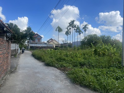 Mặt Đường Liên Thôn Tại Hoàng Động, Thuỷ Nguyên. 81m2, Ngang 4,5m, Nở Hậu. Giá Chỉ 1,36 Tỷ. 2