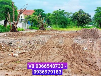 Siêu phẩm đầu tư Anh Dũng 5. Rẻ hơn những 5 GIÁ với thị trường 2