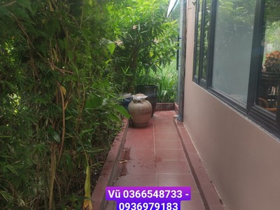 Siêu phẩm đất biệt thự nhà vườn Anh Dũng 3, Dương Kinh  Xem là MÊ 10