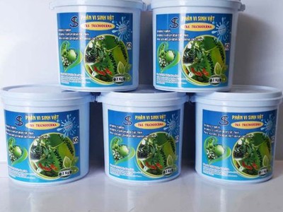 TRICHODERA - Nấm đối kháng 2