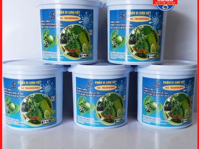 TRICHODERA - Nấm đối kháng 3
