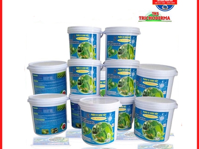 TRICHODERA - Nấm đối kháng 0