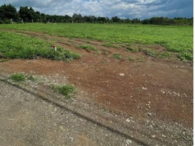 BÁN ĐẤT chính chủ sổ sẵn công chứng ngay 3