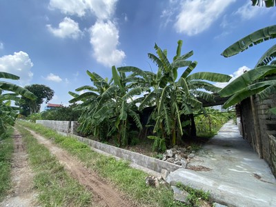 Bán đất full thổ cư HÀ NỘI, giá chỉ 4XX triệu/ lô 4