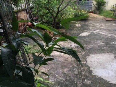 Cần bán đất mặt tiền đường gò dưa 1