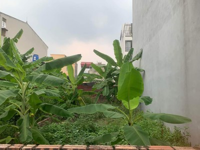 Bán đất 75 phố tư đình 0