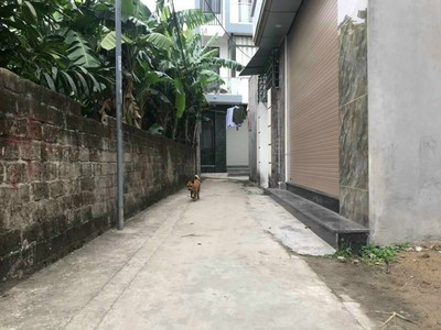 Bán 2 lô đất trục thông 4m chỉ sau 1 nhà mặt đường Quỳnh Hoàng, Nam Sơn,   - Diện tích 50m 1