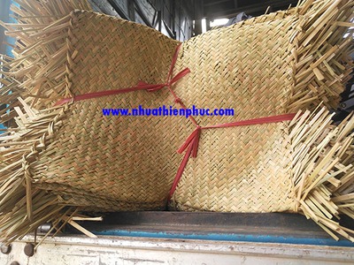 Lu nhựa Thiên Phúc làm giá đỗ giá chỉ 60 ngàn cái 2