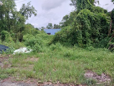 Bán 1007m2 đất mặt tiền đường kênh kháng chiến, xã Tam Hiệp, H. Châu Thành, Tiền Giang. 1