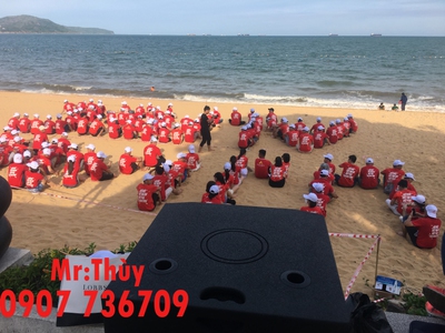 Cho thuê loa kéo giá rẻ tận nơi tại Quy Nhơn 9