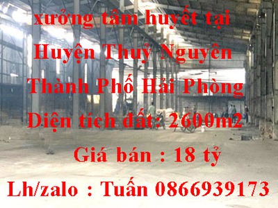 Thanh lý giá treo quần áo và kệ đa năng 2983