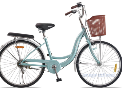 Xe Đạp Phổ Thông 24 Inch Fornix RG24 0