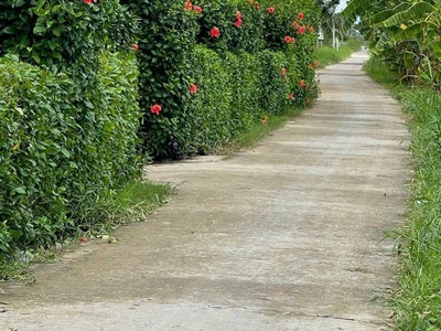 Hàng hót cho nhà đầu tư sinh lời, hoặc xấy cất nhà nghĩ dưỡng 3
