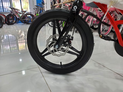  Xe Đạp Trẻ Em 16 Inch LANQ FD 43 Cao Cấp  4